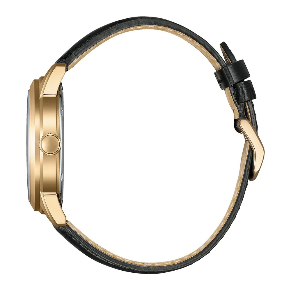 Citizen Eco-Drive Classic Day-Date Leder Gold, 40.5mm Herrenuhr AW0153-04AC