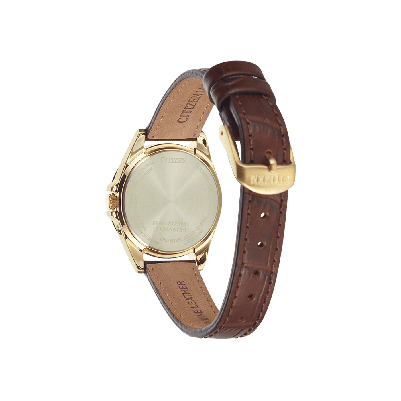 EC1183-16A_4-thumb Citizen Eco-Drive Radio Controlled Damenuhr EC1183-16A