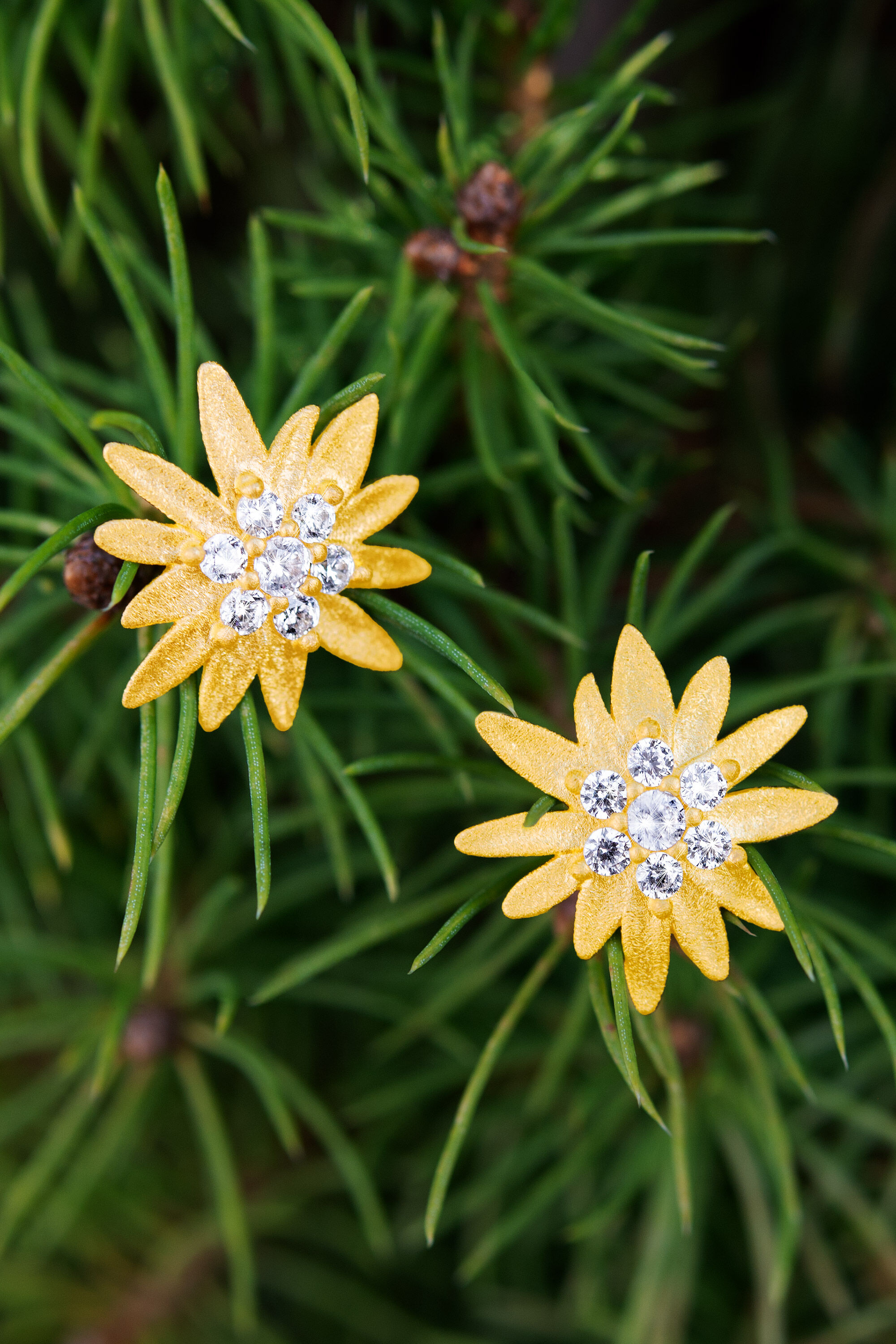 Bernd Wolf Stecker Edelweiß Designlinie Bergwelt, Blume, Zirkonia, 24-Karat-goldplattiert