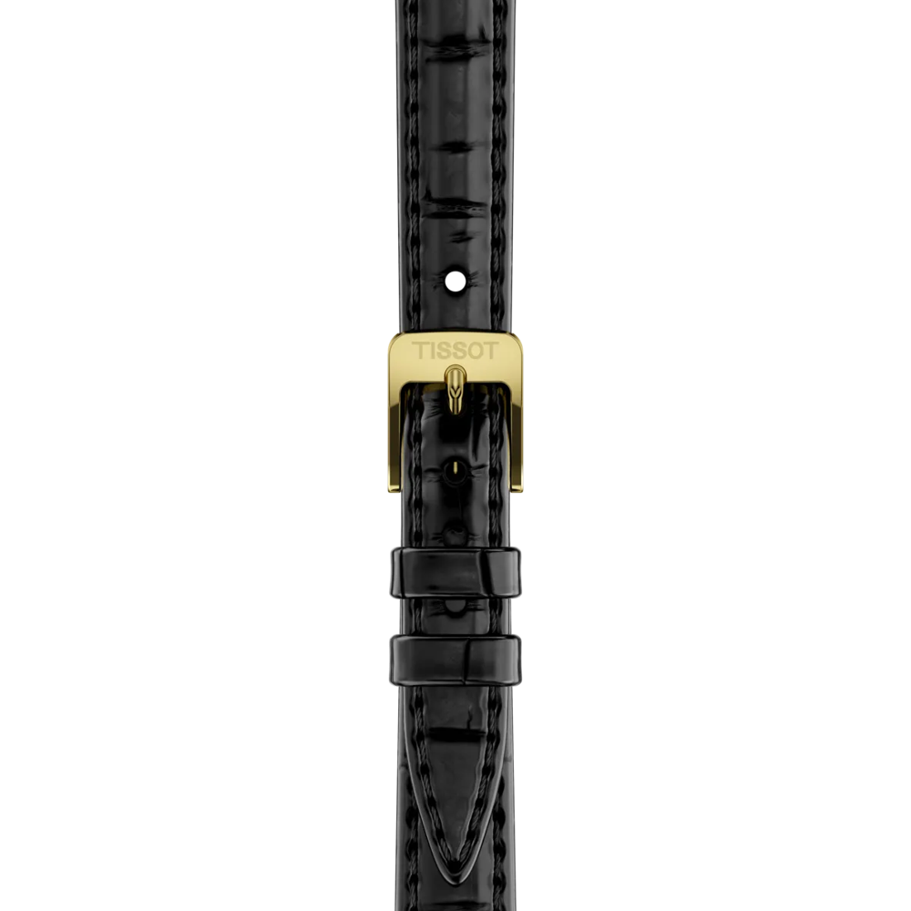 Tissot T-Lady SRV black women's watch T160.110.36.126.00