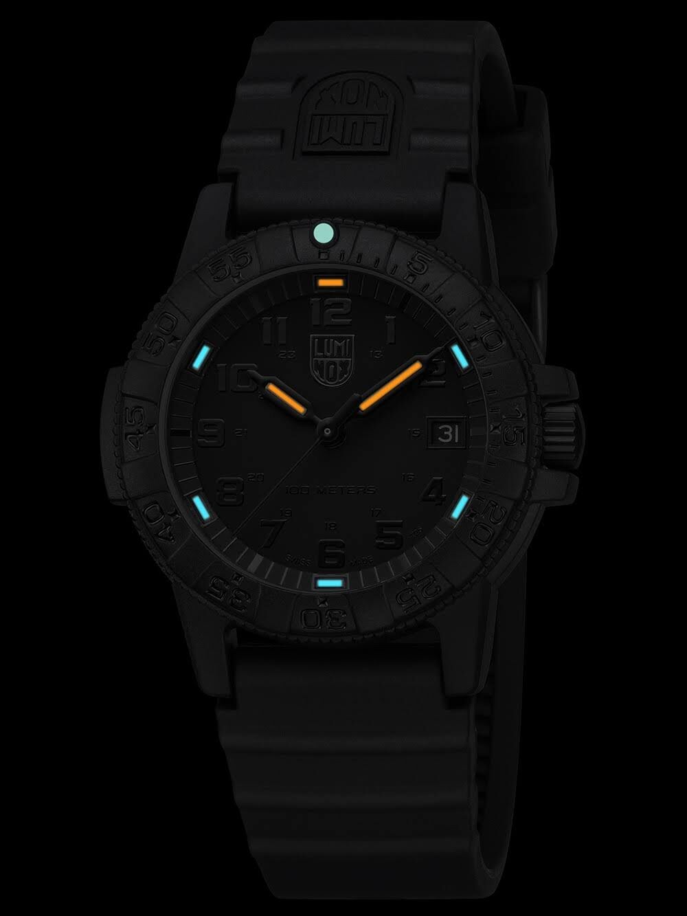 Luminox LEATHERBACK SEA TURTLE 0300 SERIES Herrenuhr